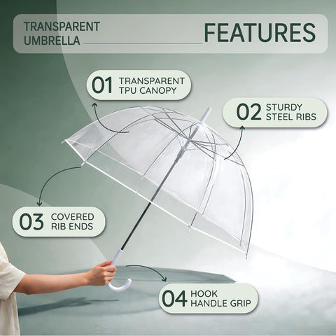 Features of transpaprent umbrella