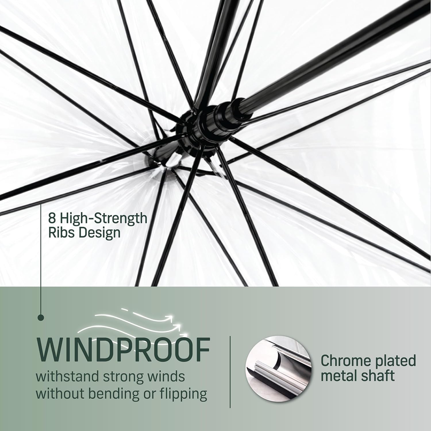 Transparent Umbrella with 8 high strength ribs design