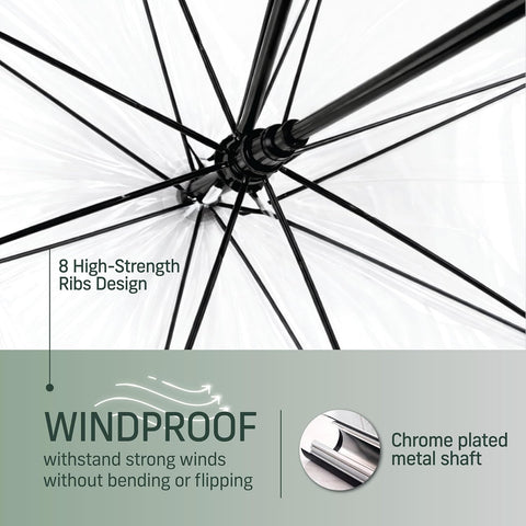 Transparent Umbrella with 8 high strength ribs design
