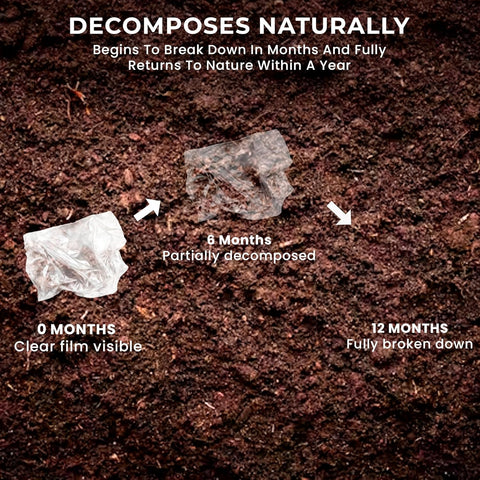 Robustt Bio Food Wrap Cling Film for Food Wrapping| 100 m ×12”| Keeps Food Fresh Eco-Friendly Transparent Wrapping roll | Ideal Cling Film for Food Wrapping