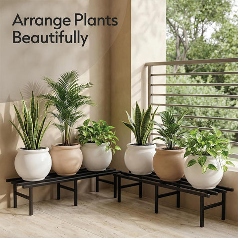Arrange plants beautifully with Robustt horizontal plant stand