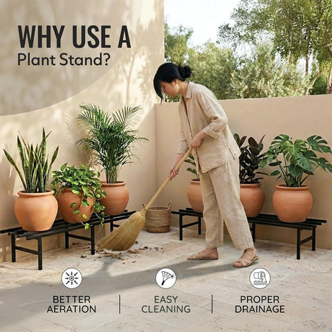 Why use a plant stand - easy cleaning better aeration & proper drainage