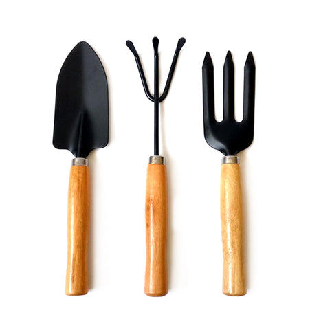 Robustt Transplanting Digging Weeding Planting Gardening Garden Tool Kits